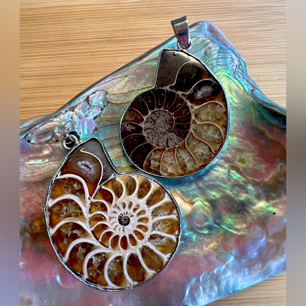 Ammonite Silver Pendant